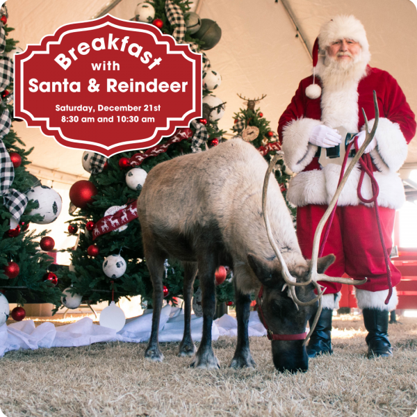Santa & Reindeer Brunch (2)